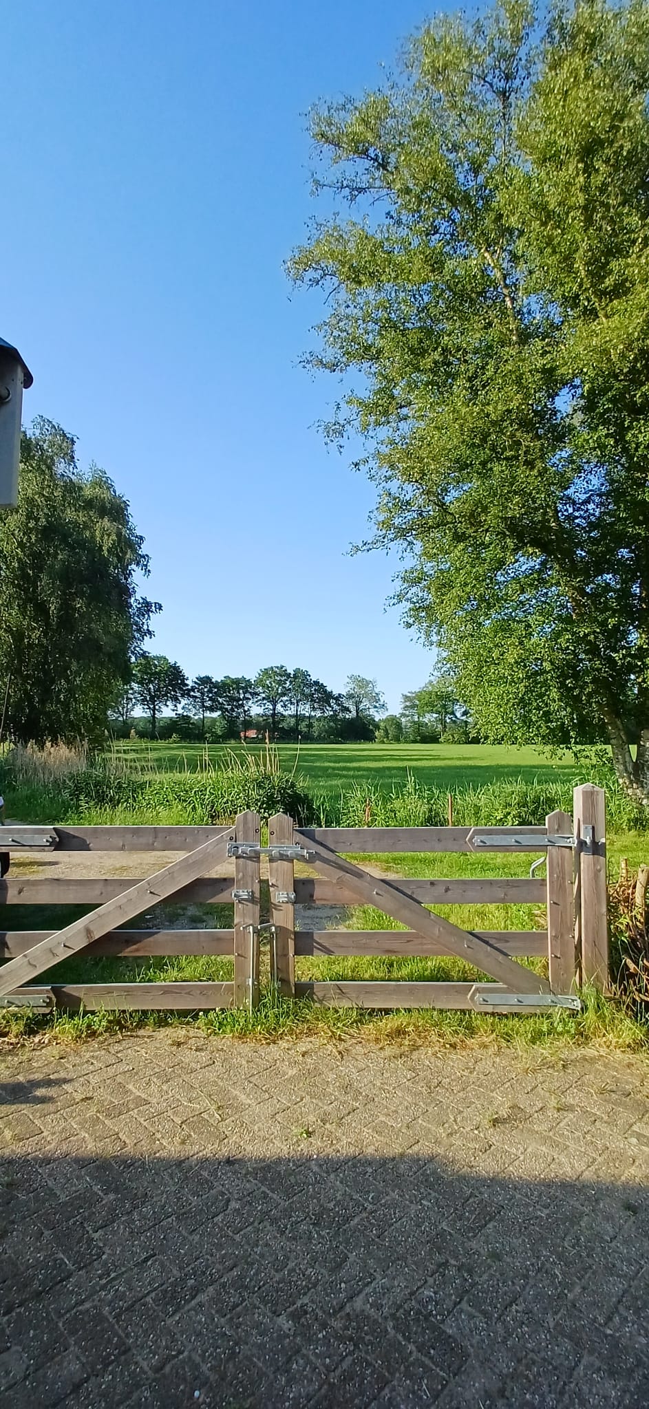 Foto naar het weiland